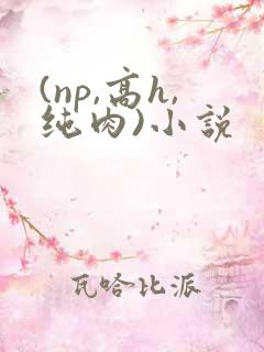 (np,高h,纯肉)小说