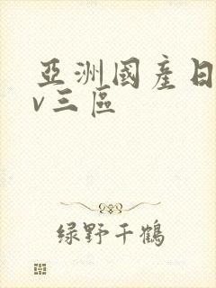 亚洲国产日韩av三区