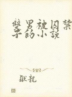 双男被囚禁还生子的小说