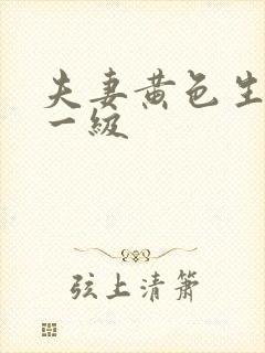 夫妻黄色生活片一级