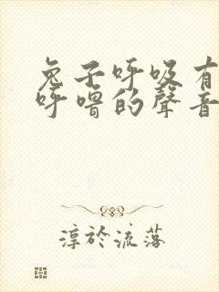 兔子呼吸有呼噜呼噜的声音