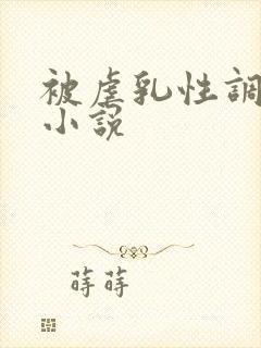 被虐乳性调教的小说