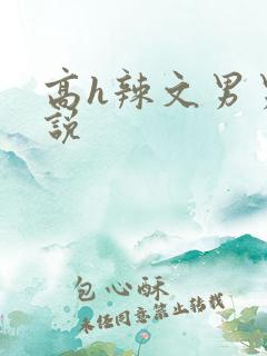 高h辣文男男小说