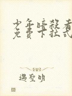 少年暗杀者漫画免费下拉式