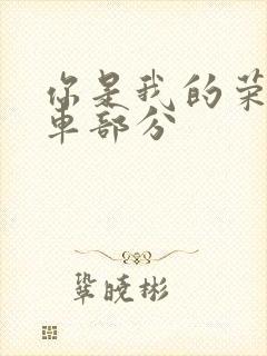 你是我的荣耀开车部分