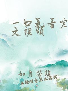 一口气看完超甜文视频