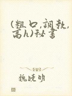 (粗口,调教,高h)秘书