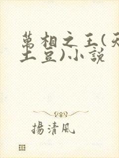 万相之王(天蚕土豆)小说