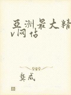 亚洲最大精品av网站