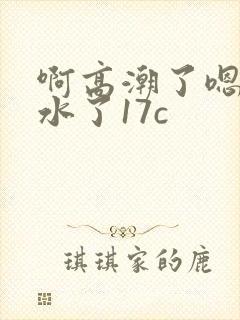 啊高潮了嗯～喷水了17c