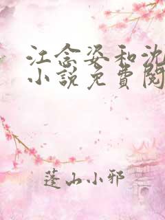 江念姿和沈程的小说免费阅读