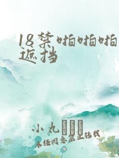 18禁啪啪啪无遮挡