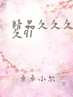 精品久久久久久久91