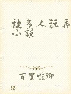 被多人玩弄np小说