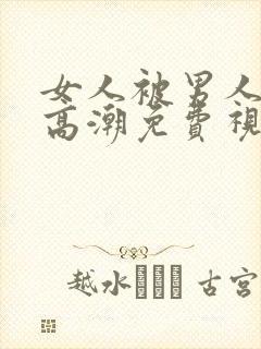 女人被男人操到高潮免费视频