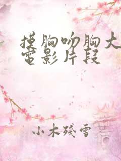 摸胸吻胸大尺度电影片段