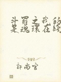 斗罗之我的武魂是魂环在线阅读全文