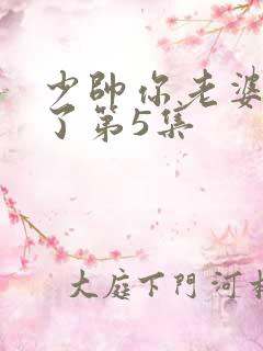 少帅你老婆又跑了第5集