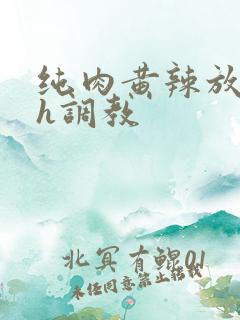 纯肉黄辣放荡高h调教