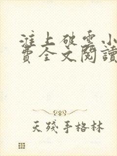 淮上破云小说免费全文阅读