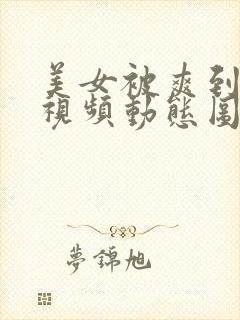 美女被爽到呻吟视频动态图