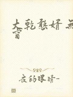 大乾憨婿 无弹窗