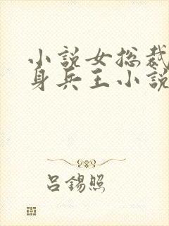 小说女总裁的贴身兵王小说