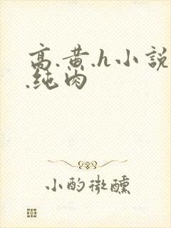 高.黄.h小说.纯肉