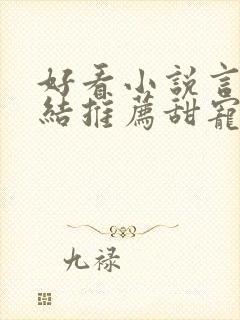 好看小说言情完结推荐甜宠文