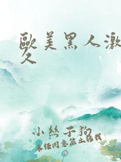 欧美黑人激情久久