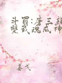 斗罗:唐三亲妹双武魂成神免费阅读