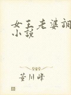 女王老婆调教我小说