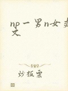 np一男n女爽文