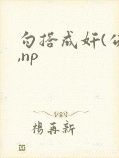 勾搭成奸(公媳,np