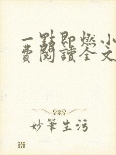 一点即燃小说免费阅读全文无弹窗