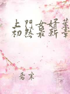 上门女婿叶辰萧初然最新章节免费阅读