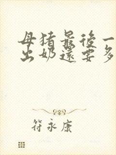 母猪最后一对奶出奶还要多久产仔