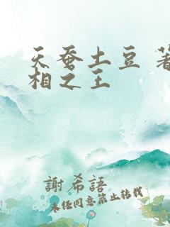 天蚕土豆 著万相之王