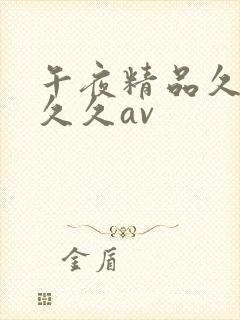 午夜精品久久久久久av