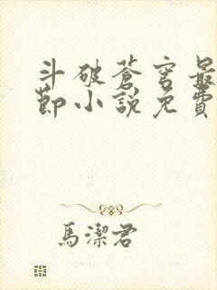 斗破苍穹最新章节小说免费阅读