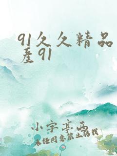 91久久精品国产91