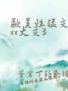 欧美性猛交xxxx大交3