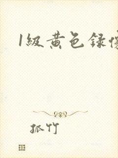 1级黄色录像片