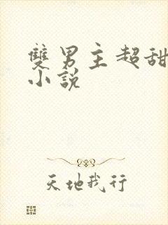 双男主超甜宠文小说