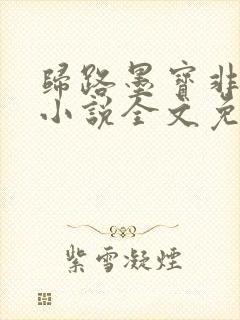 归路墨宝非宝 小说全文免费阅读