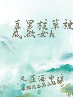 直男校草被调教成欲女h