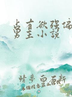 占有欲强偏执双男主小说