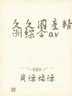 久久国产精品亚洲综合av