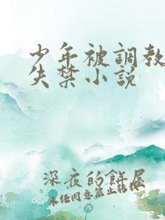 少年被调教爽到失禁小说