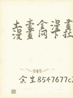 土豪金漫画免费漫画网下拉式